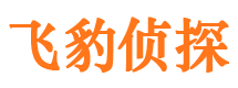 新城市婚外情调查